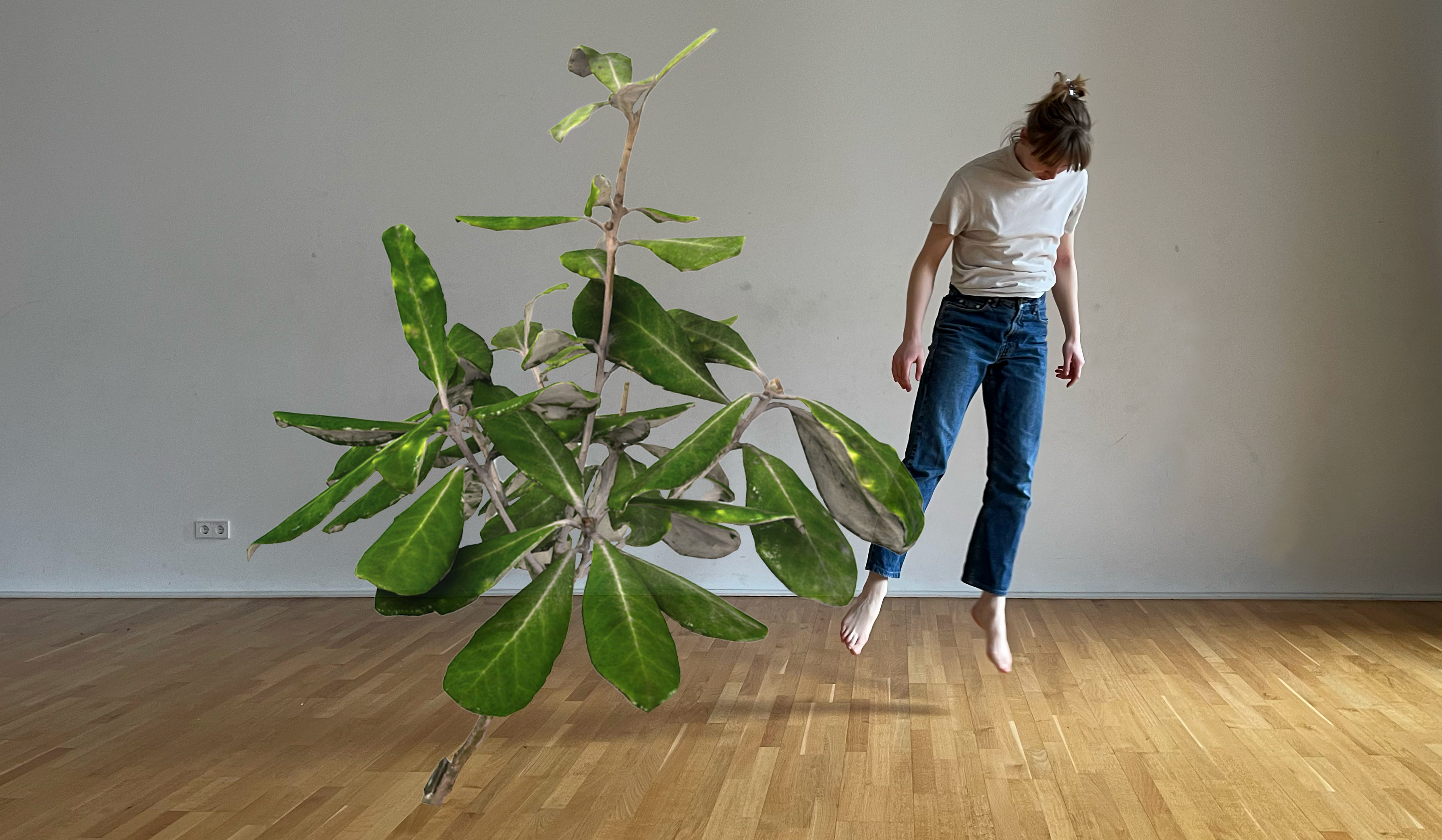 Choreographic Plant Room