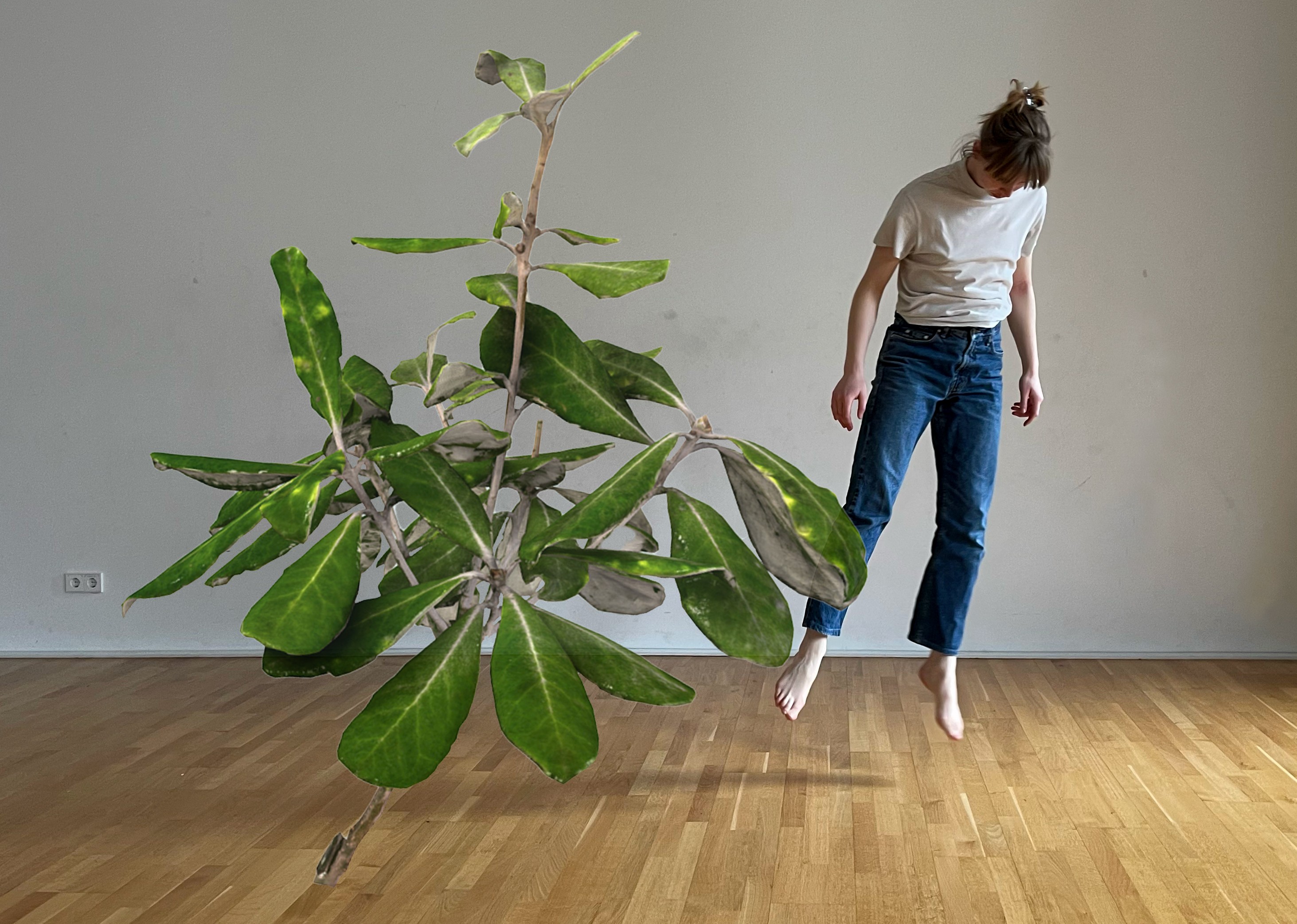 Choreographic Plant Room